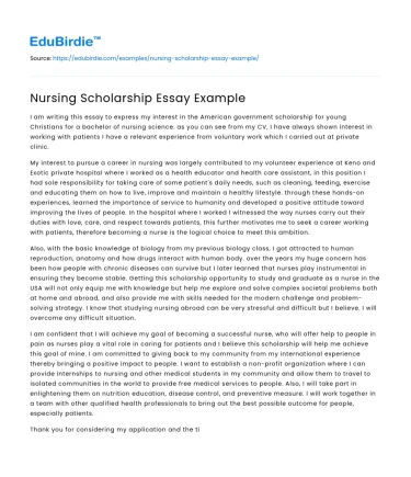 Nursing Scholarship Essay Example