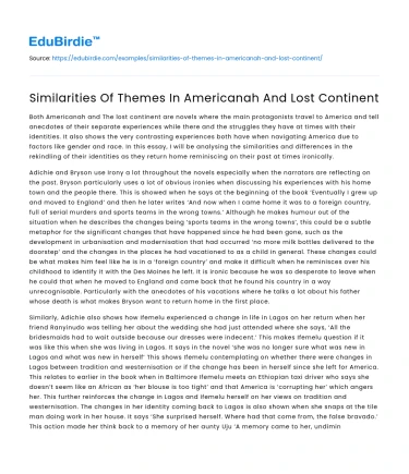 Similarities Of Themes In Americanah And Lost Continent