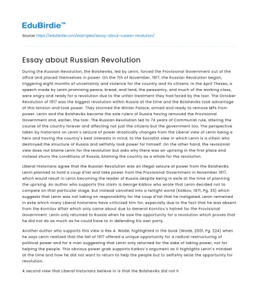 Essay about Russian Revolution