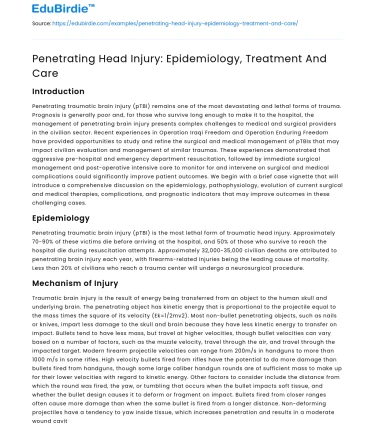 Penetrating Head Injury: Epidemiology, Treatment And Care