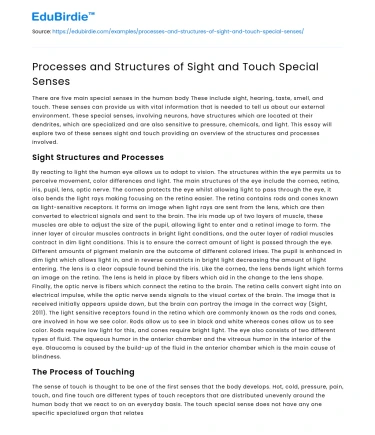 Processes and Structures of Sight and Touch Special Senses