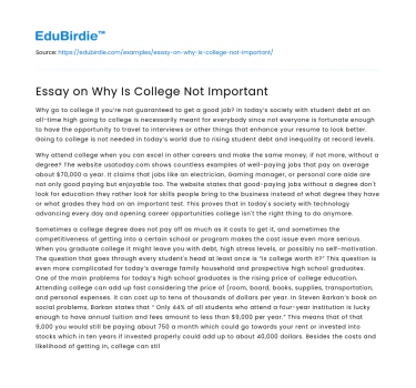 Essay on Why Is College Not Important