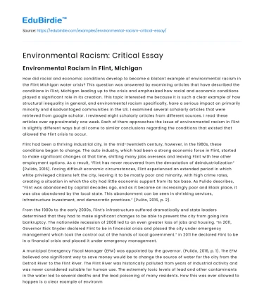 Environmental Racism: Critical Essay