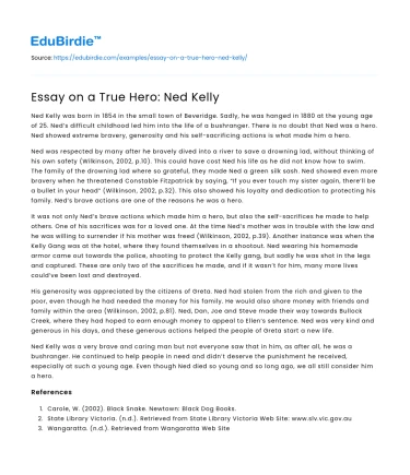Essay on a True Hero: Ned Kelly