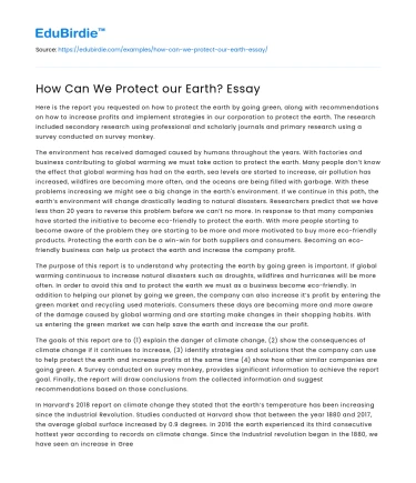 How Can We Protect our Earth? Essay