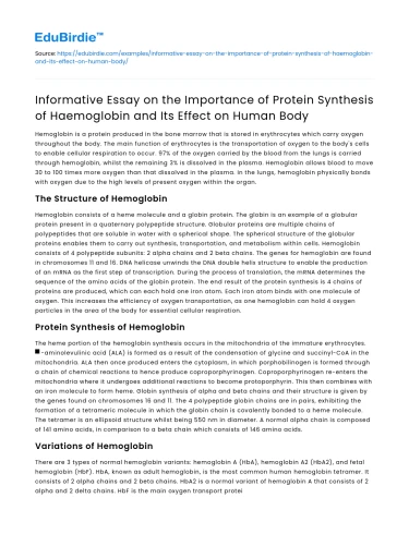 Protein synthesis of haemoglobin and its impact on the body