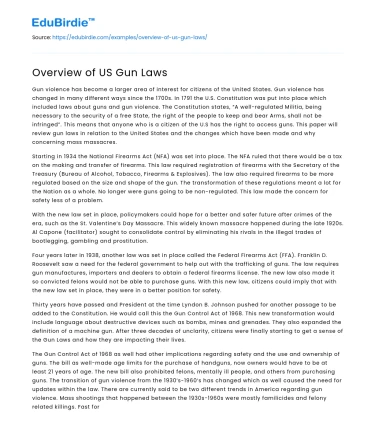 Overview of US Gun Laws
