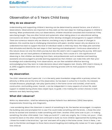 Observation of a 5 Years Child Essay