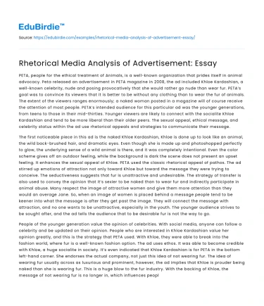 Rhetorical Media Analysis of Advertisement: Essay