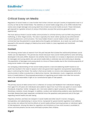 Critical Essay on Media
