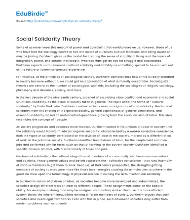 Social Solidarity Theory