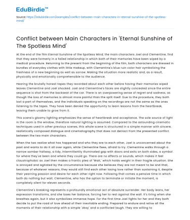 Conflict in ‘Eternal Sunshine of The Spotless Mind’