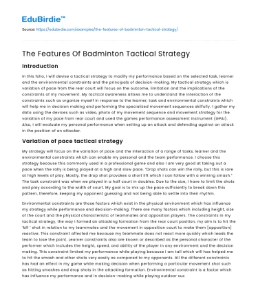 The Features Of Badminton Tactical Strategy