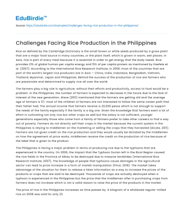 Challenges Facing Rice Production in the Philippines