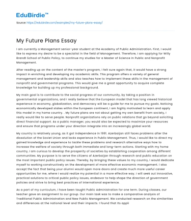 My Future Plans Essay