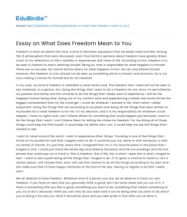 Essay on What Does Freedom Mean to You