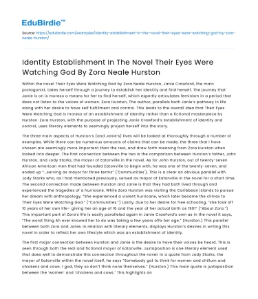 Identity in Their Eyes Were Watching God by Zora Neale Hurston