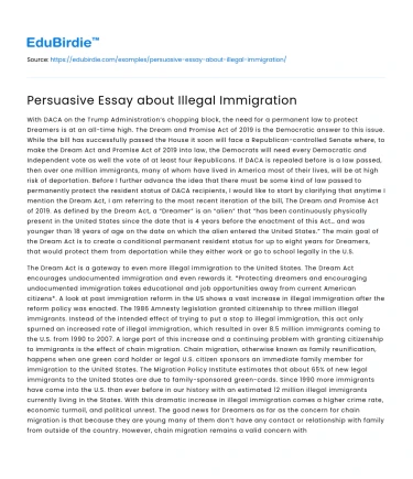 Persuasive Essay about Illegal Immigration