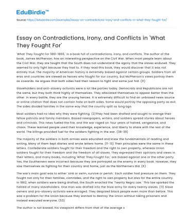 Dichotomies and Ironies in Civil War Ideologies