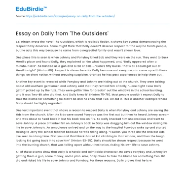 Essay on Dally from ‘The Outsiders’