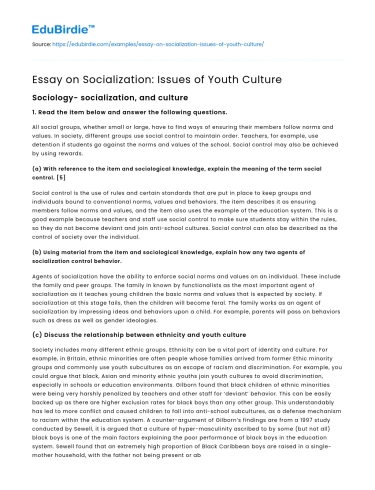Essay on Socialization: Issues of Youth Culture