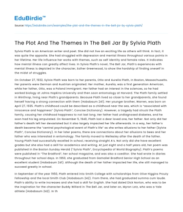 The Plot And The Themes In The Bell Jar By Sylvia Plath