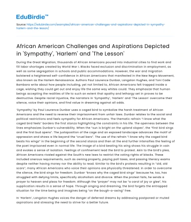 African American Challenges in Sympathy, Harlem, and The Lesson