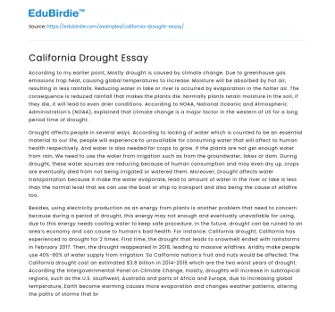 California’s Persistent Water Crisis