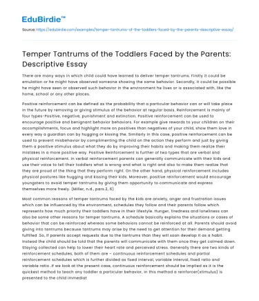 Temper Tantrums of the Toddlers Faced by the Parents