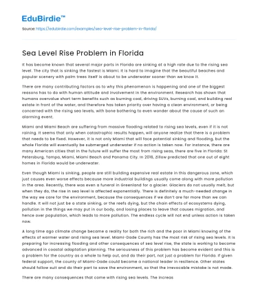 Sea Level Rise Problem in Florida