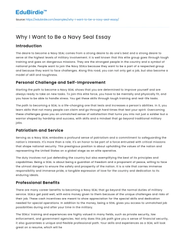 Why I Want to Be a Navy Seal Essay