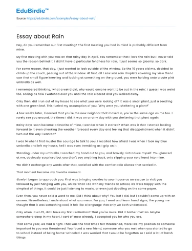 Essay about Rain