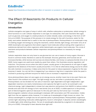 The Effect Of Reactants On Products In Cellular Energetics