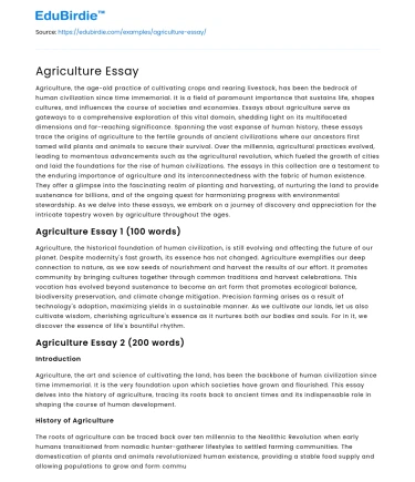 Agriculture Essay