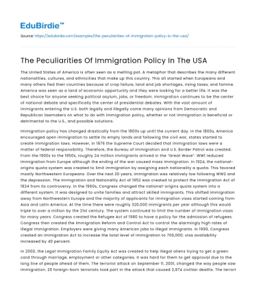 The Peculiarities Of Immigration Policy In The USA