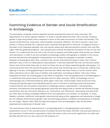 Examining Evidence of Gender and Social Stratification in Archaeology