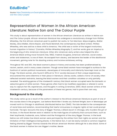 Women in African American Lit: Native Son & The Color Purple