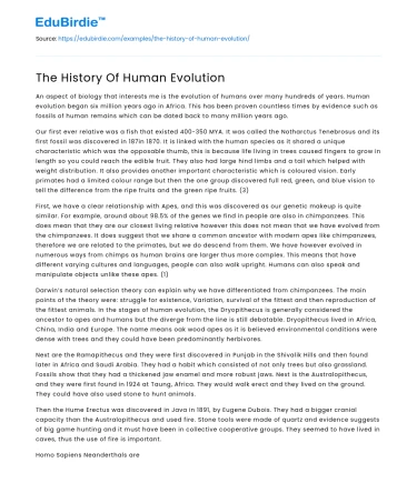 The History Of Human Evolution