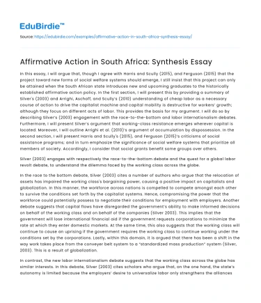 Affirmative Action in South Africa: Synthesis Essay