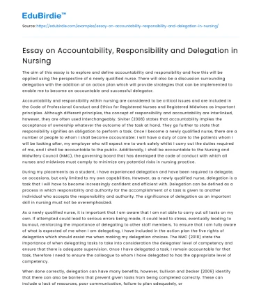 Essay on Accountability, Responsibility and Delegation in Nursing