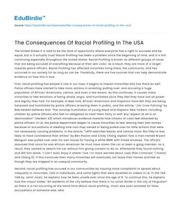 The Consequences Of Racial Profiling In The USA