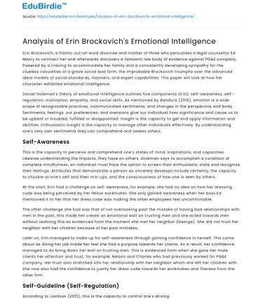 Analysis of Erin Brockovich’s Emotional Intelligence