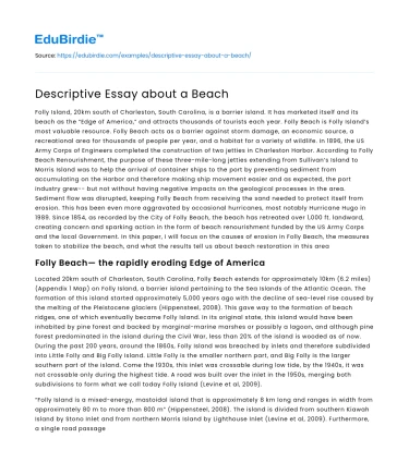 Descriptive Essay about a Beach