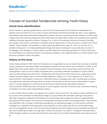 Causes of Suicidal Tendencies among Youth Essay