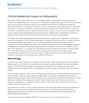 Critical Reflection Essay on Philosophy