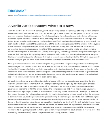 Juvenile Justice System: Where Is It Now?