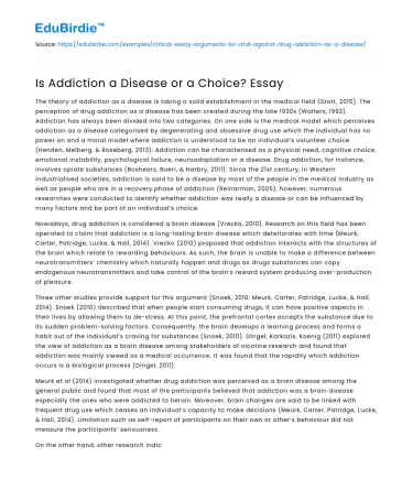 Is Addiction a Disease or a Choice? Essay