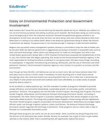 Essay on Environmental Protection and Government Involvement