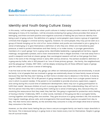 Identity and Youth Gang Culture: Essay