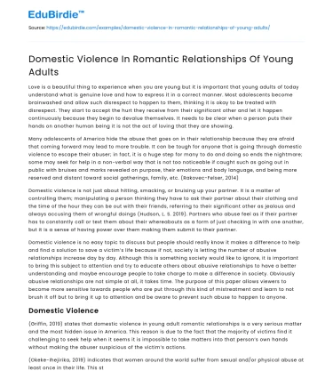 Domestic Violence In Romantic Relationships Of Young Adults